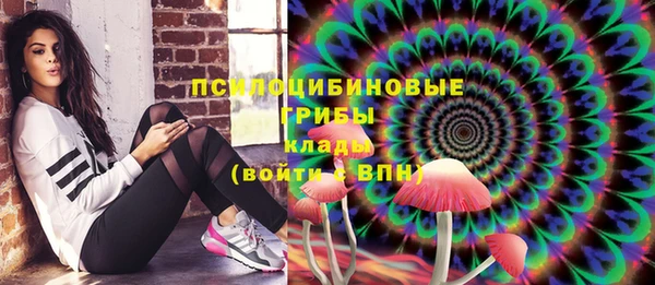 трава Елизово