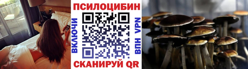Псилоцибиновые грибы MAGIC MUSHROOMS  Купить  Элиста 