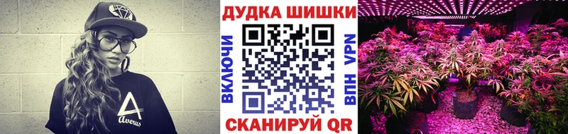 Конопля Ganja Элиста